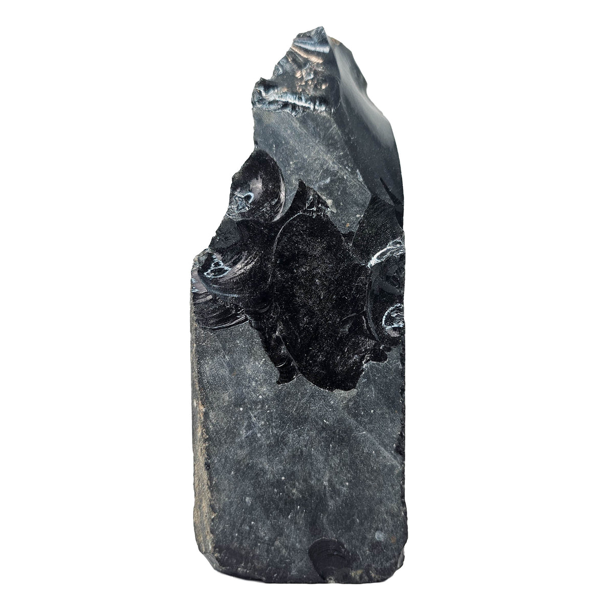 Silver sheen obsidian rough from Mexico – tall piece, close view