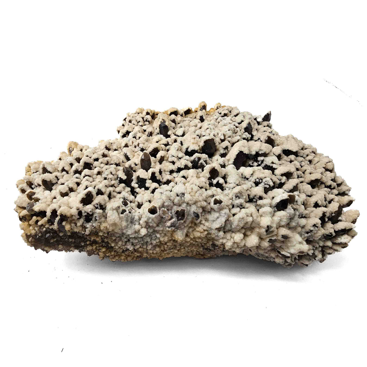 Calcite on Smoky Quartz specimen from Baia Mare mining district, Maramureș County, Romania.