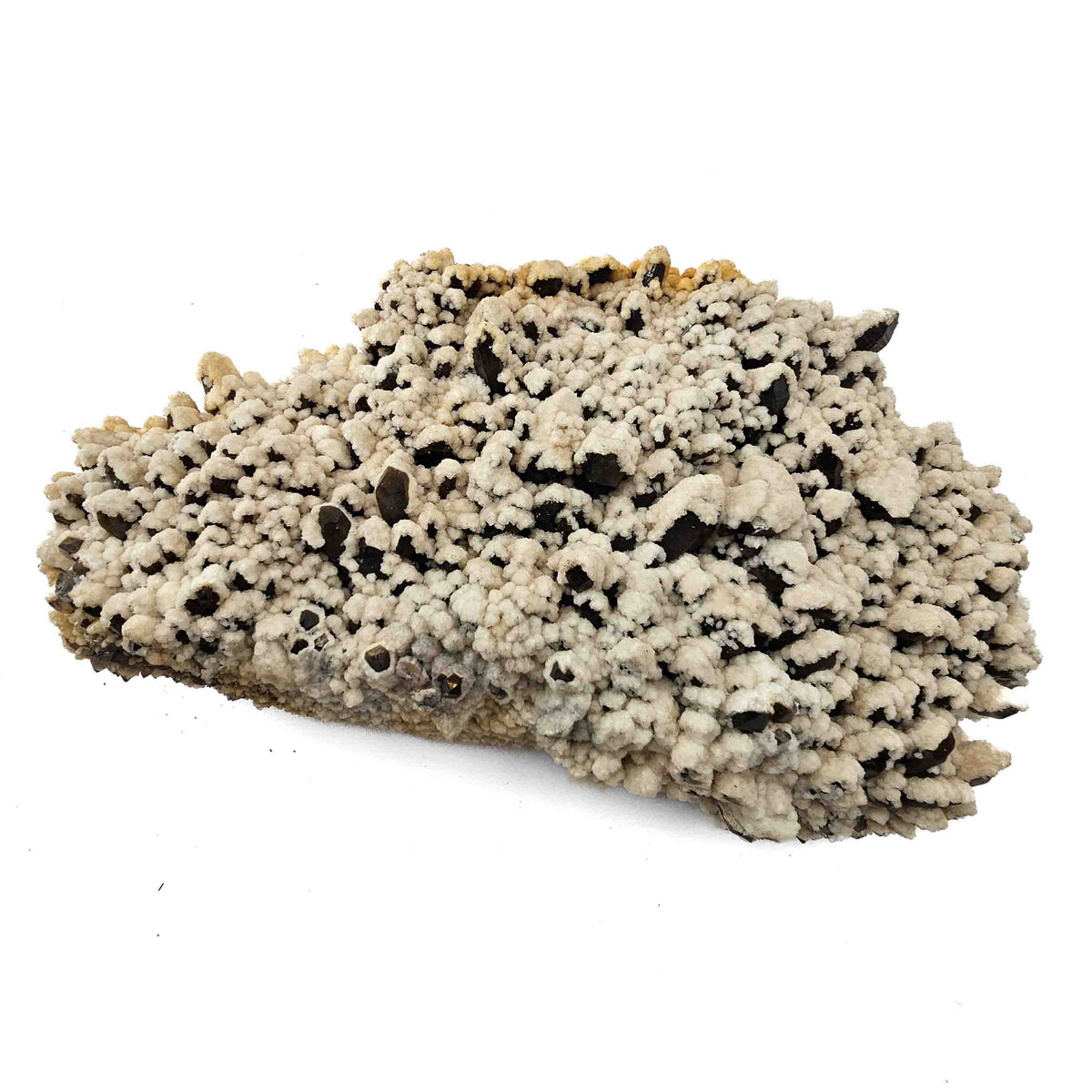 Calcite on Smoky Quartz specimen from Baia Mare mining district, Maramureș County, Romania.