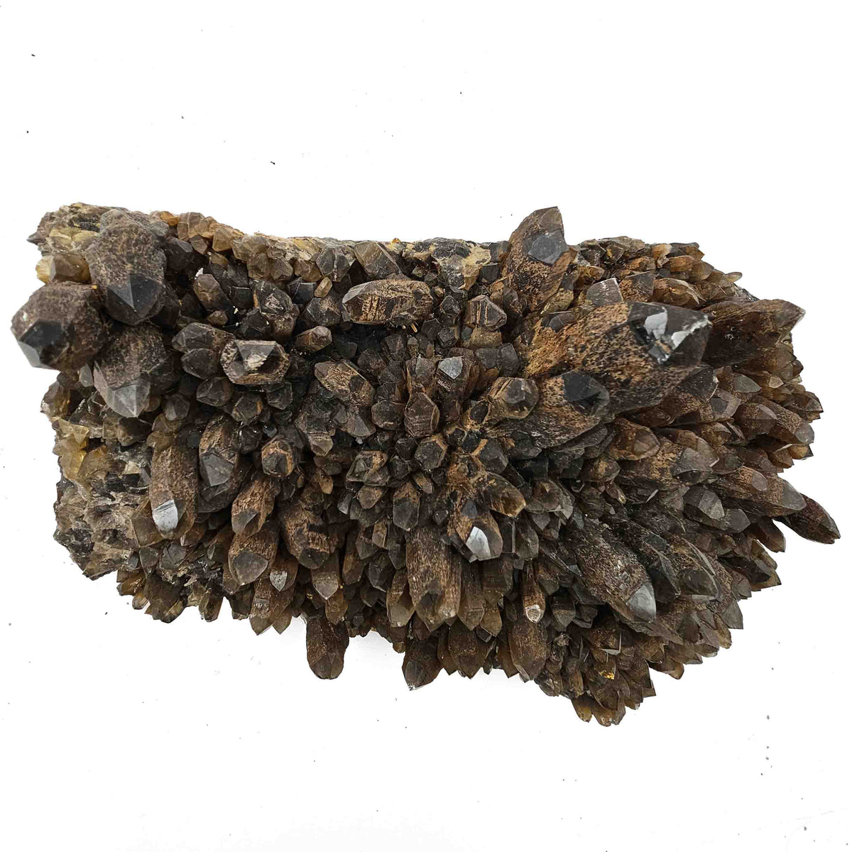 Smoky Quartz - Specimen