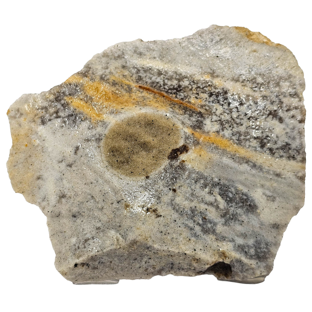 Tallahatta quartzite rough from Mississippi – close-up of mottled surface