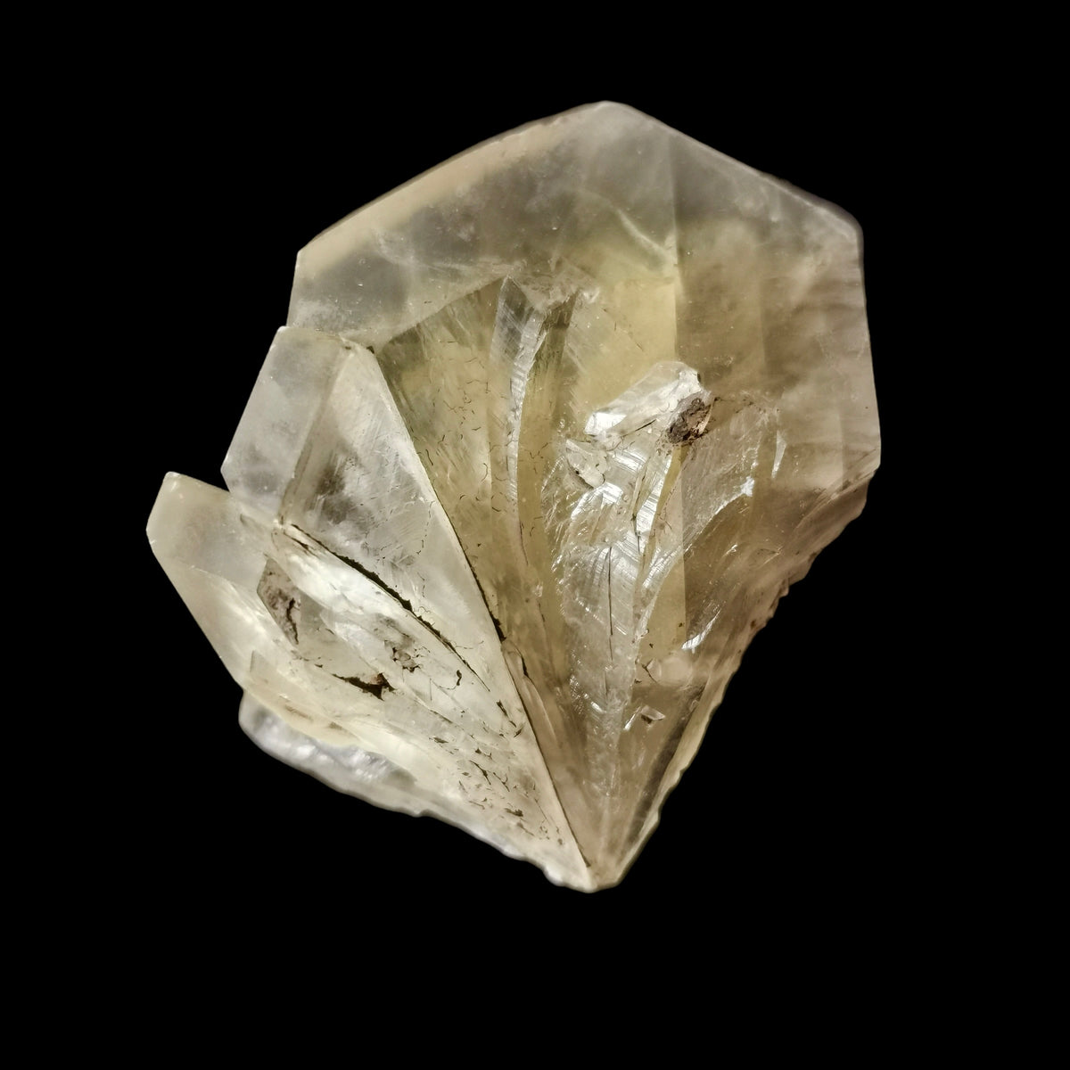 Yellow Duckbill Selenite Points (Phosphorescent) - Specimen