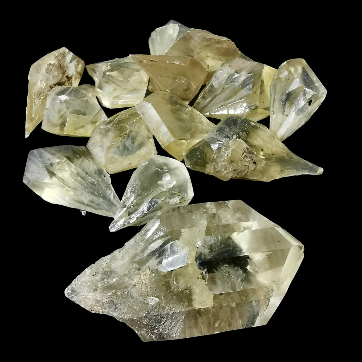 Yellow Duckbill Selenite Points (Phosphorescent) - Specimen