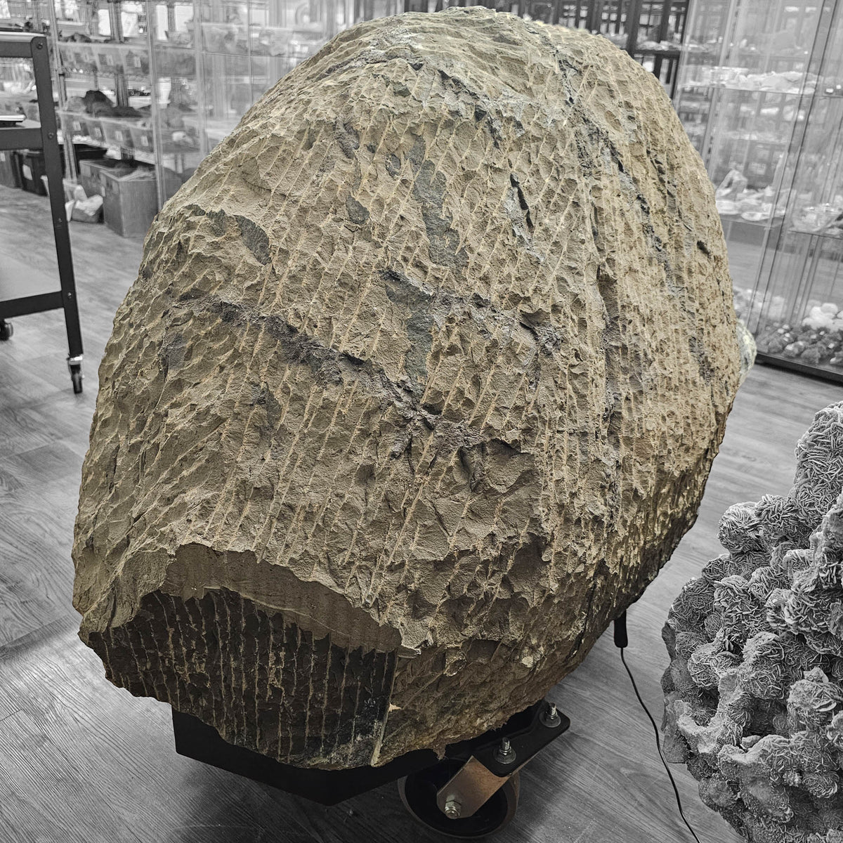 Apophyllite & Stilbite Geode - Rolling Stand - Statement Specimen