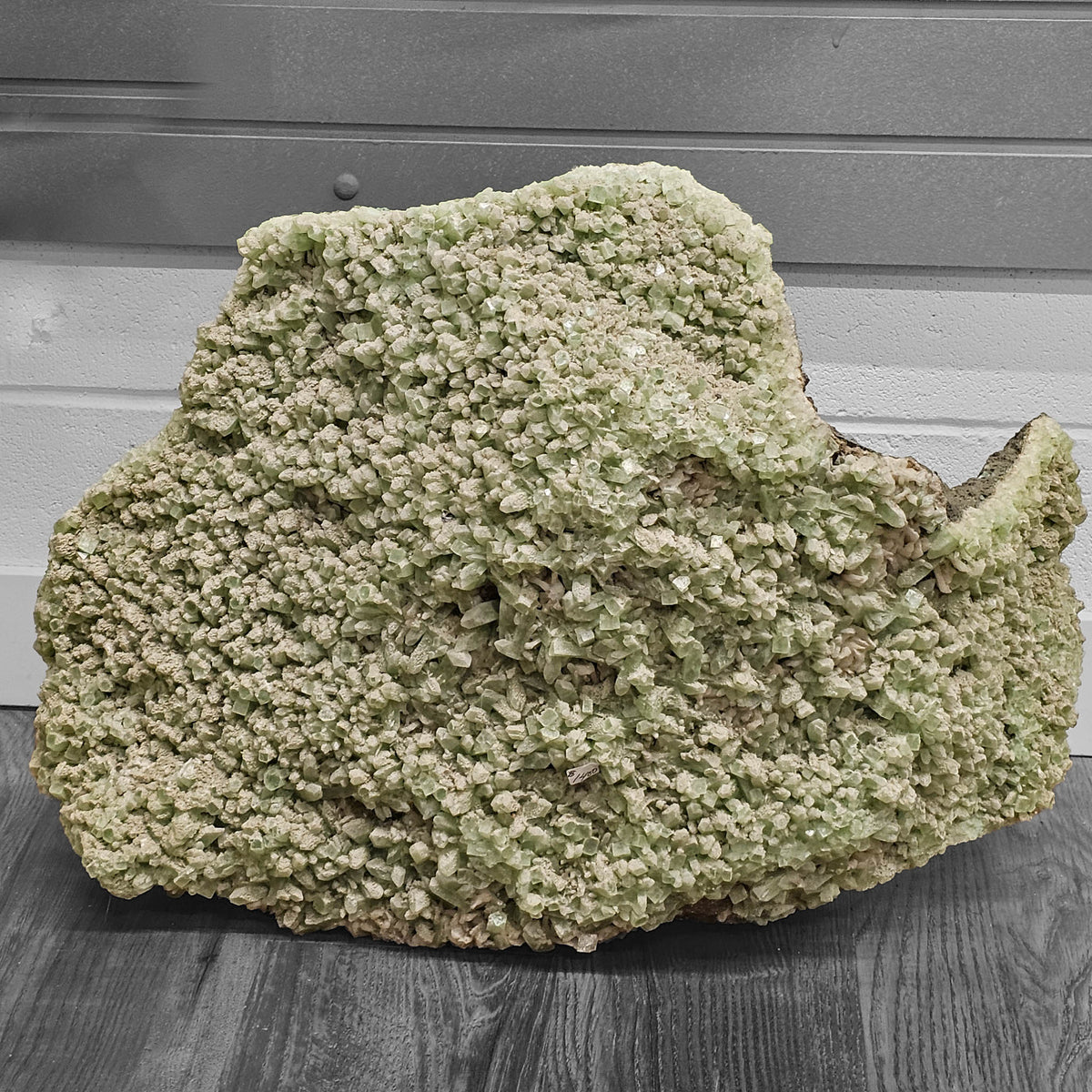 Green apophyllite crystal plate from Maharashtra, India – front view of the crystal face on the shop floor