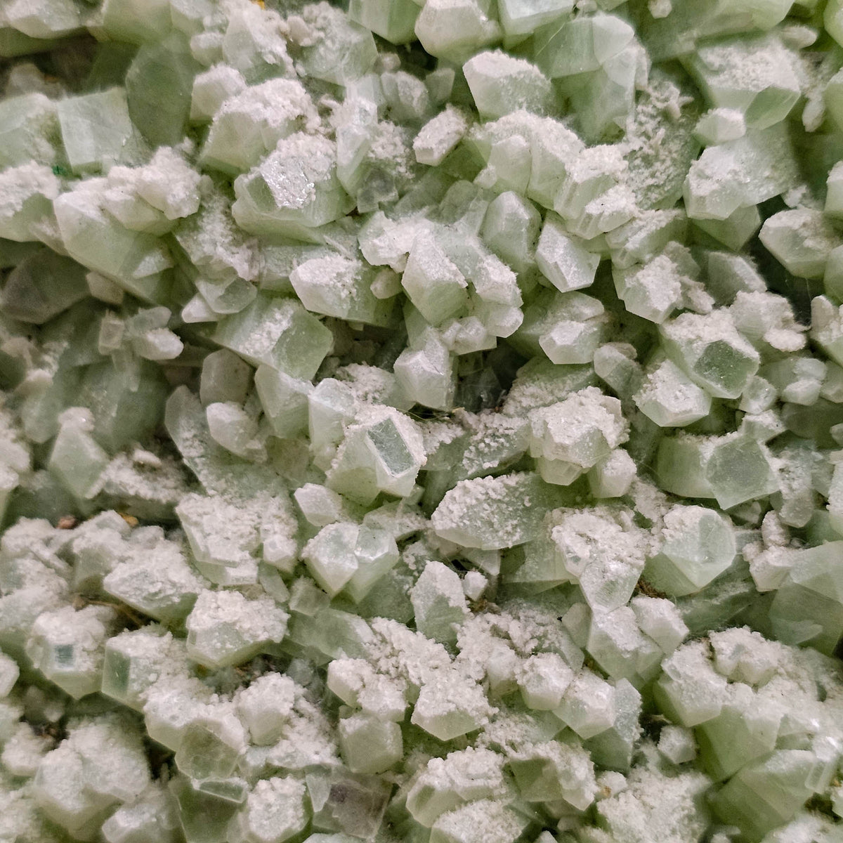 Green apophyllite crystal plate from Maharashtra, India – close-up of blocky green crystal points