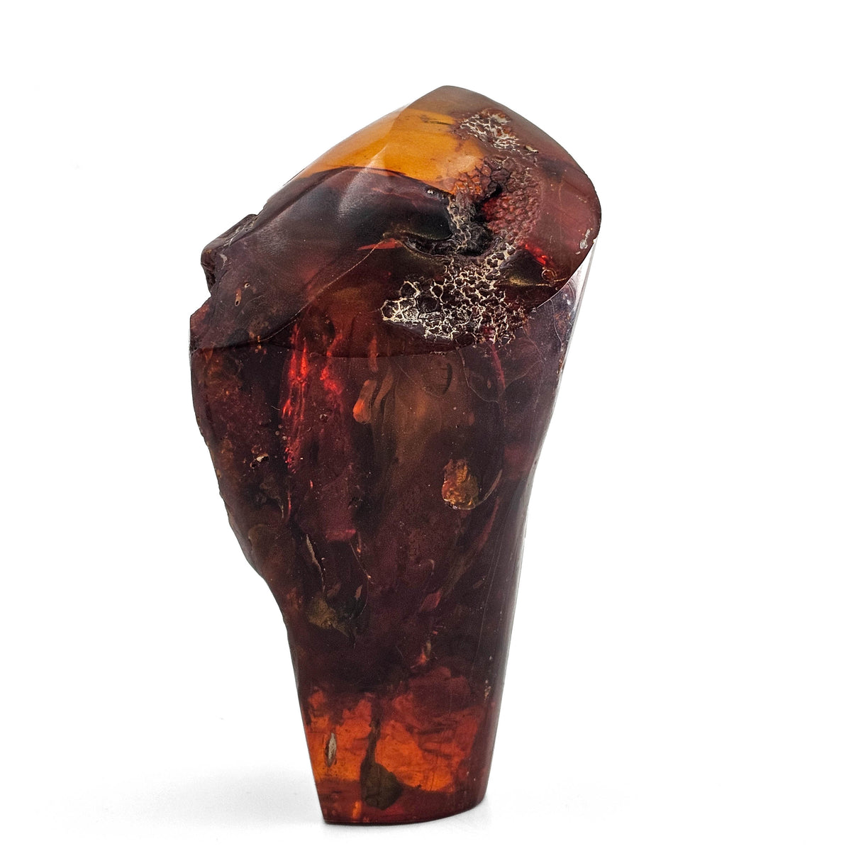 Polished Amber fossil specimen.