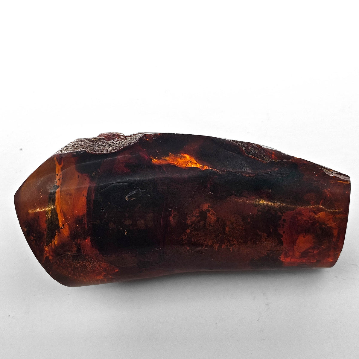 Polished Amber fossil specimen.