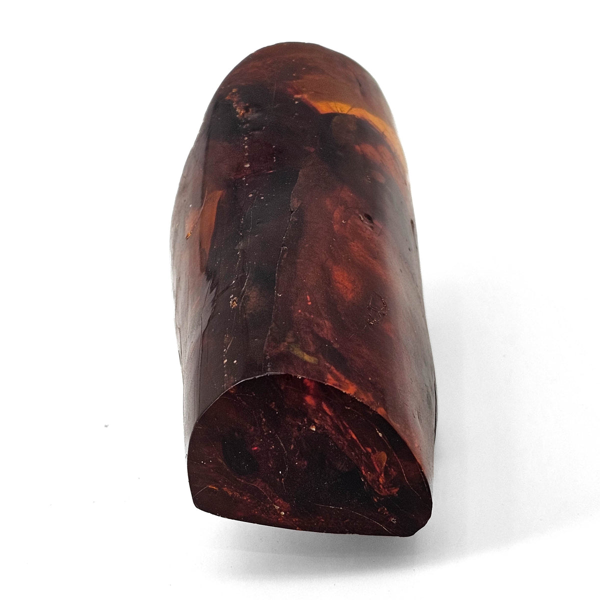 Polished Amber fossil specimen.