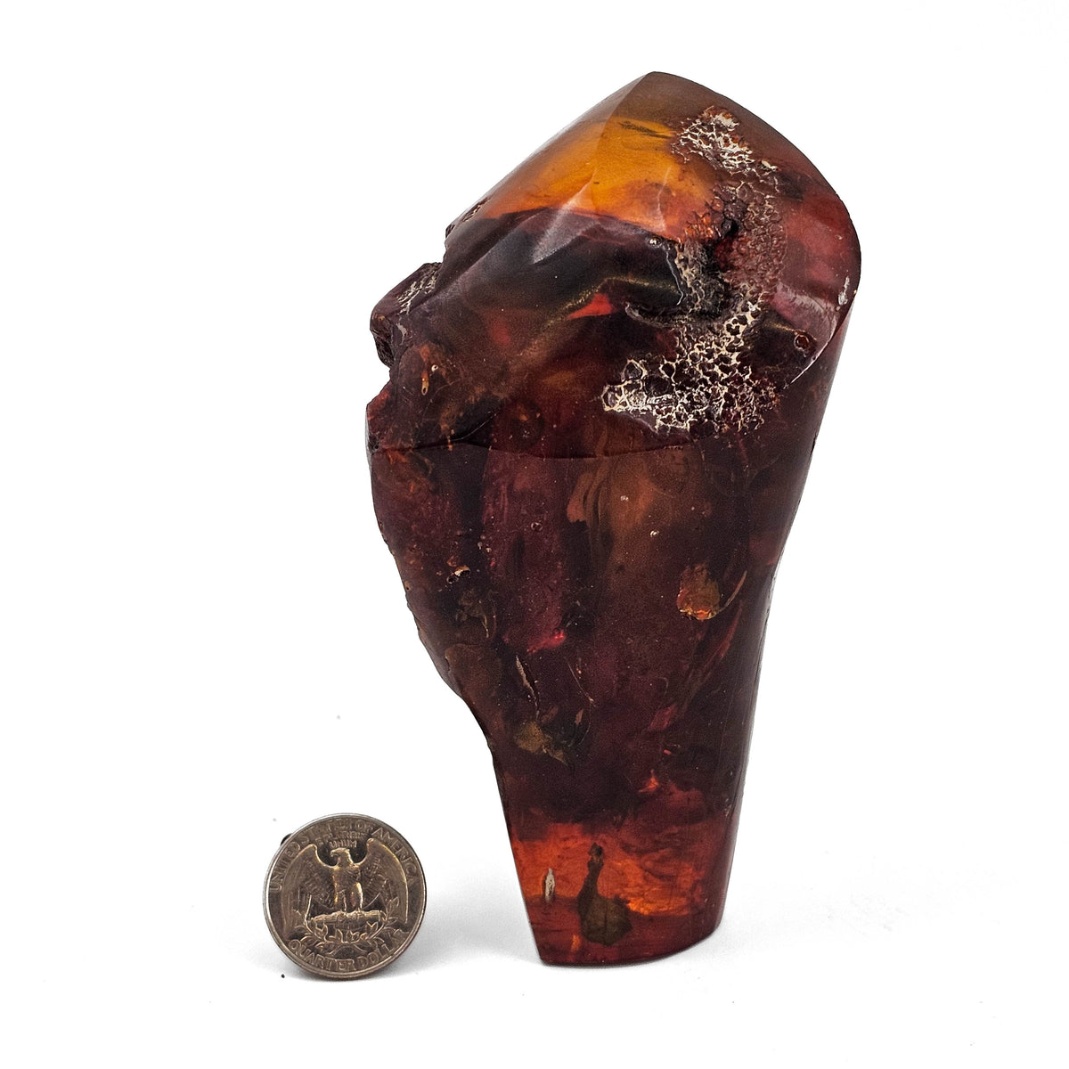 Polished Amber fossil specimen.