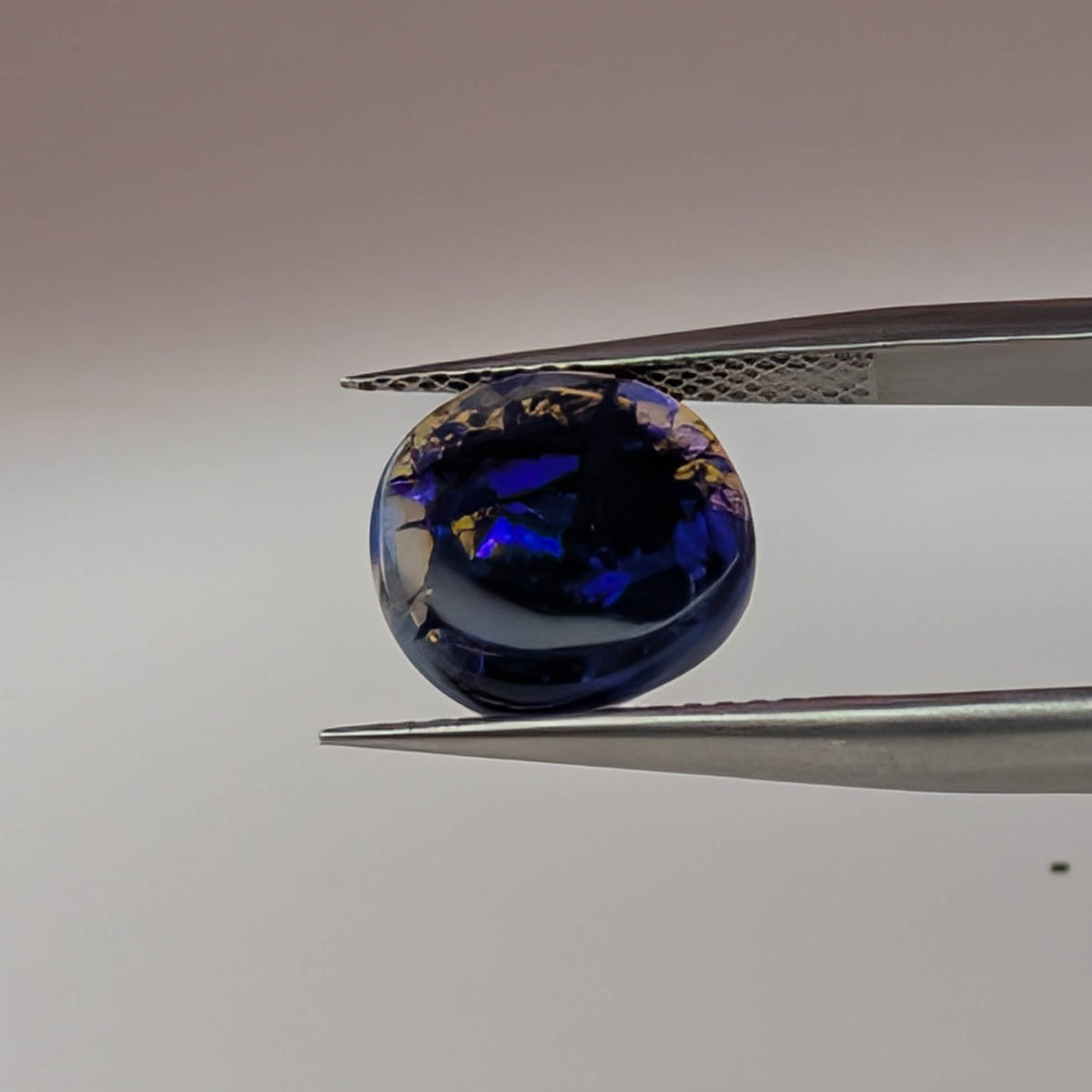 Black opal cabochon freeform gemstone, 2.67ct, from Lightning Ridge, New South Wales, Australia, held in tweezers, view 2 of 5