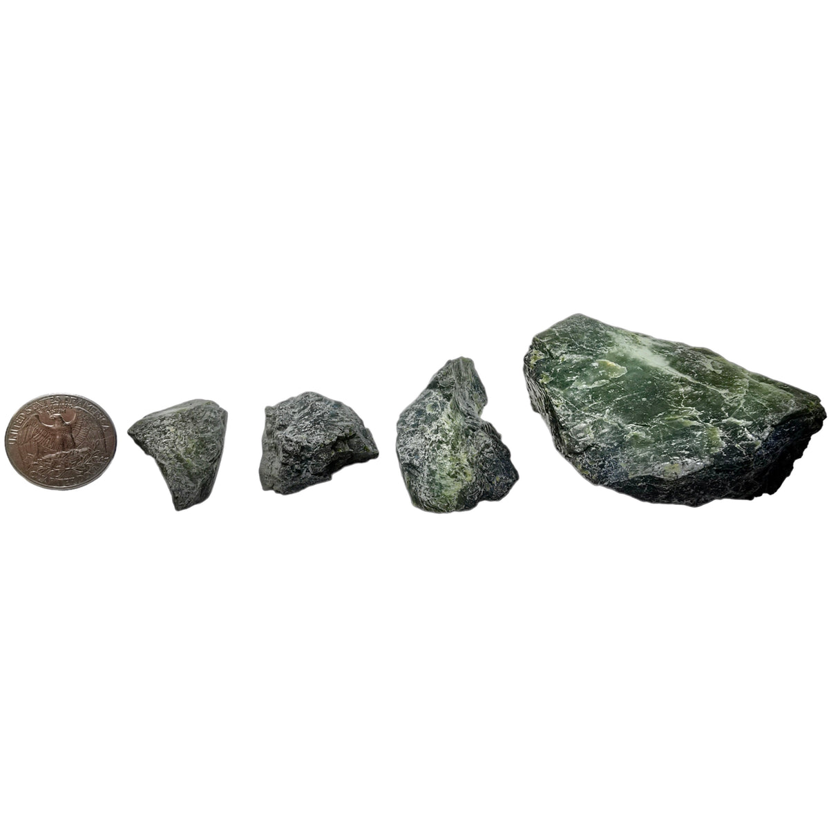 Serpentine specimen from Gold Bridge, BC – size range beside a coin for scale