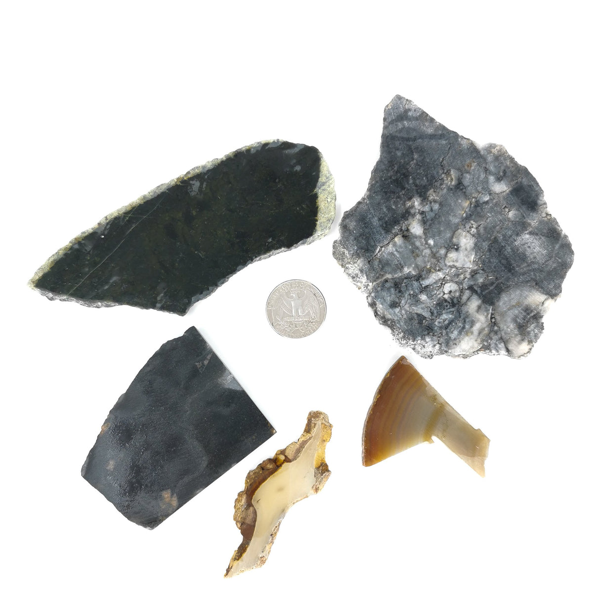 2 dollar lapidary slab – slabs beside a coin for scale