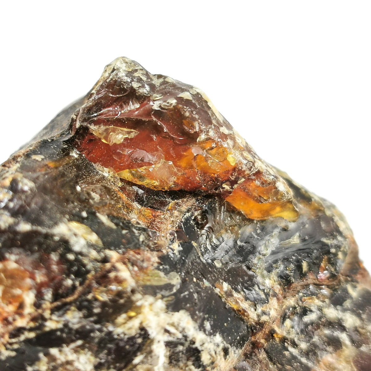 Amber rough from Sumatra – piece with orange window