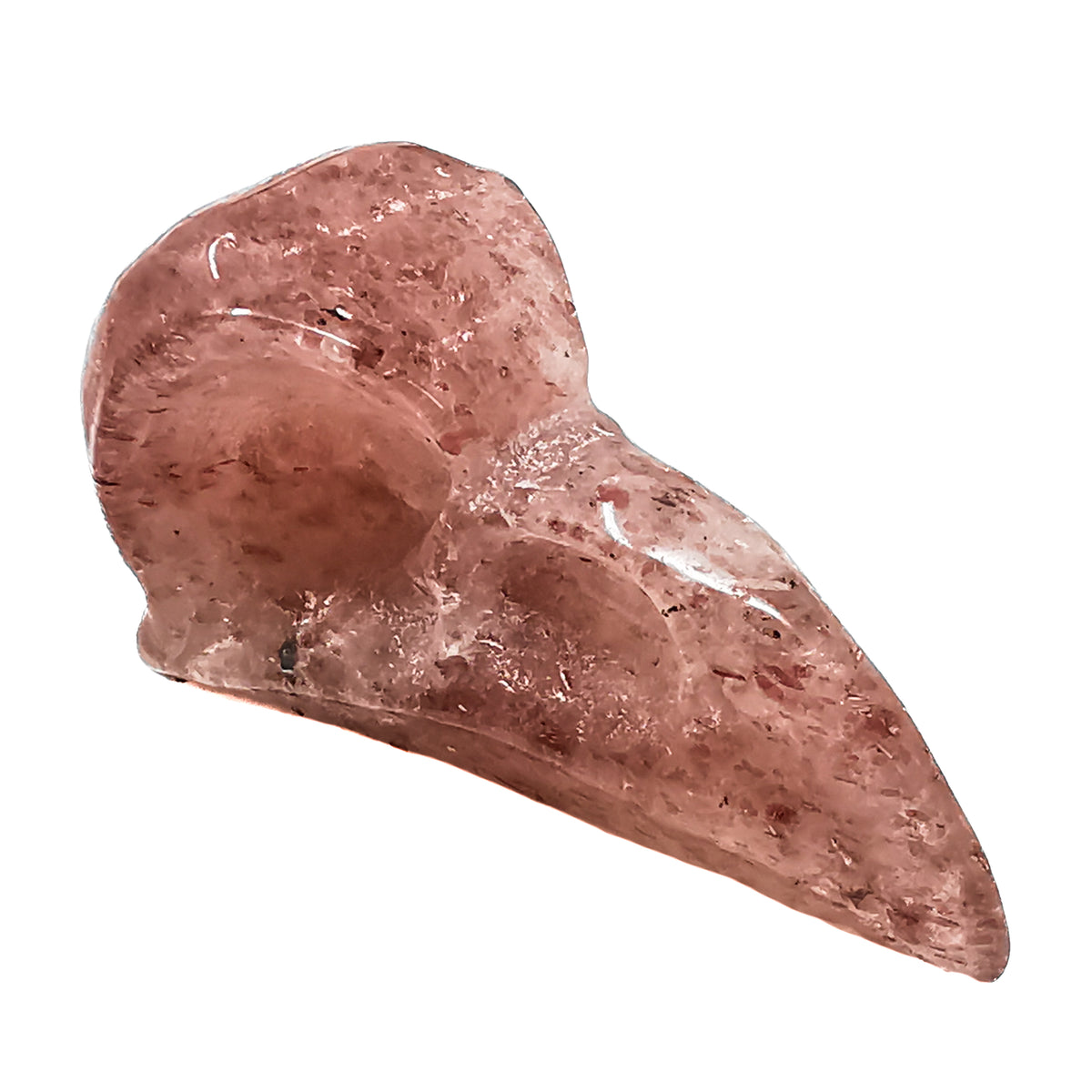 Bird skull carving – red speckled skull