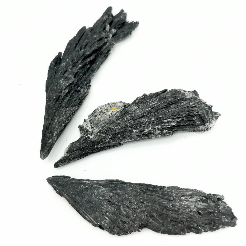 Black Kyanite Fan - Mineral