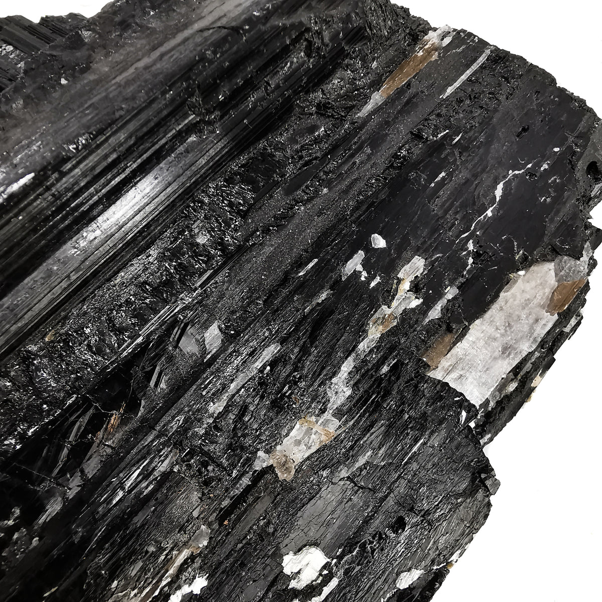 Black Tourmaline specimen, a tourmaline group mineral, from Brazil.