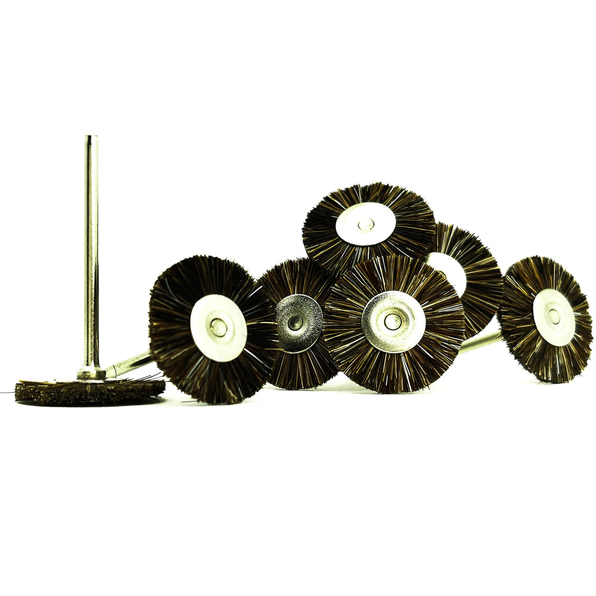 Brown Bristle Wheel.
