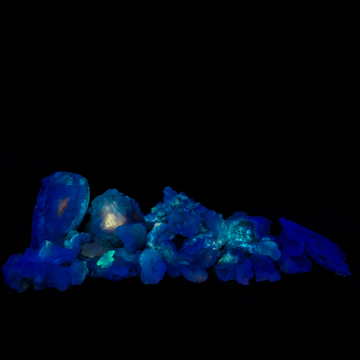 Chalcedony roses from New Mexico – pieces glowing under UV