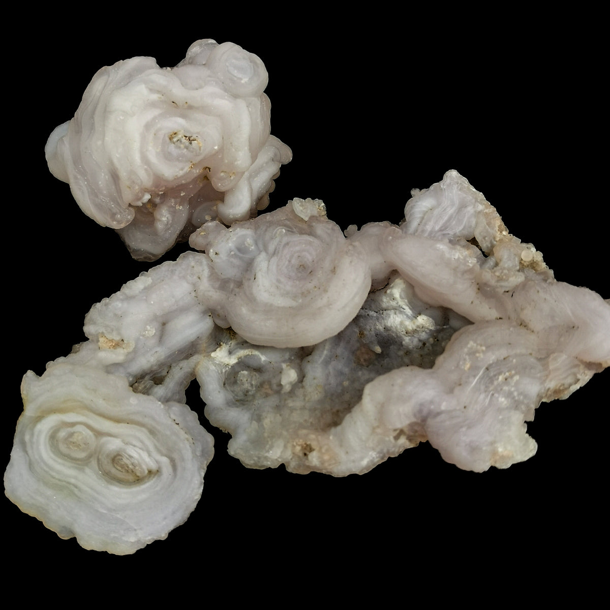Chalcedony roses from New Mexico – group of rosettes