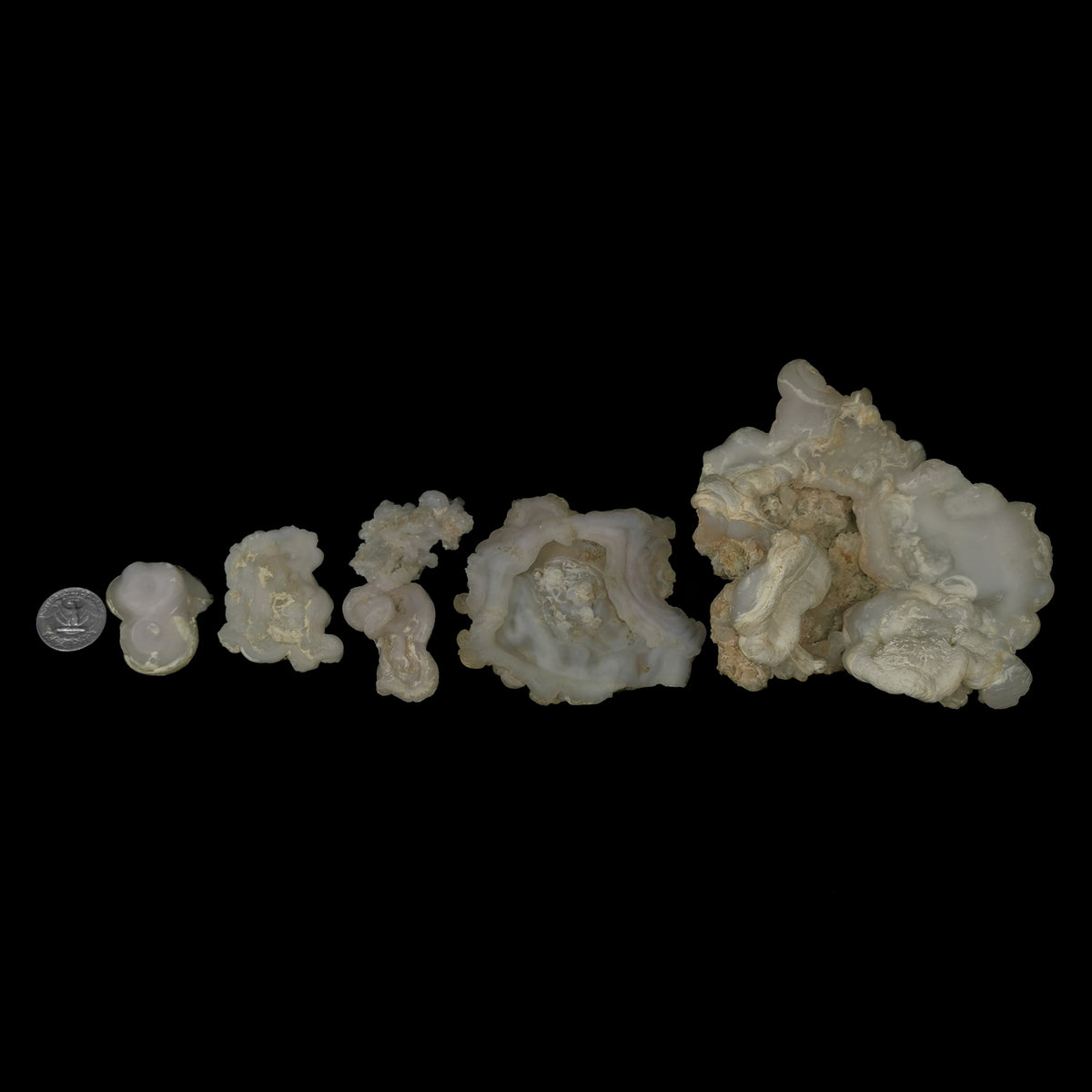 Chalcedony roses from New Mexico – size range in a row