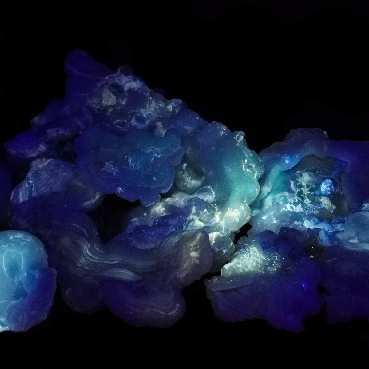 Chalcedony roses from New Mexico – pile glowing under UV