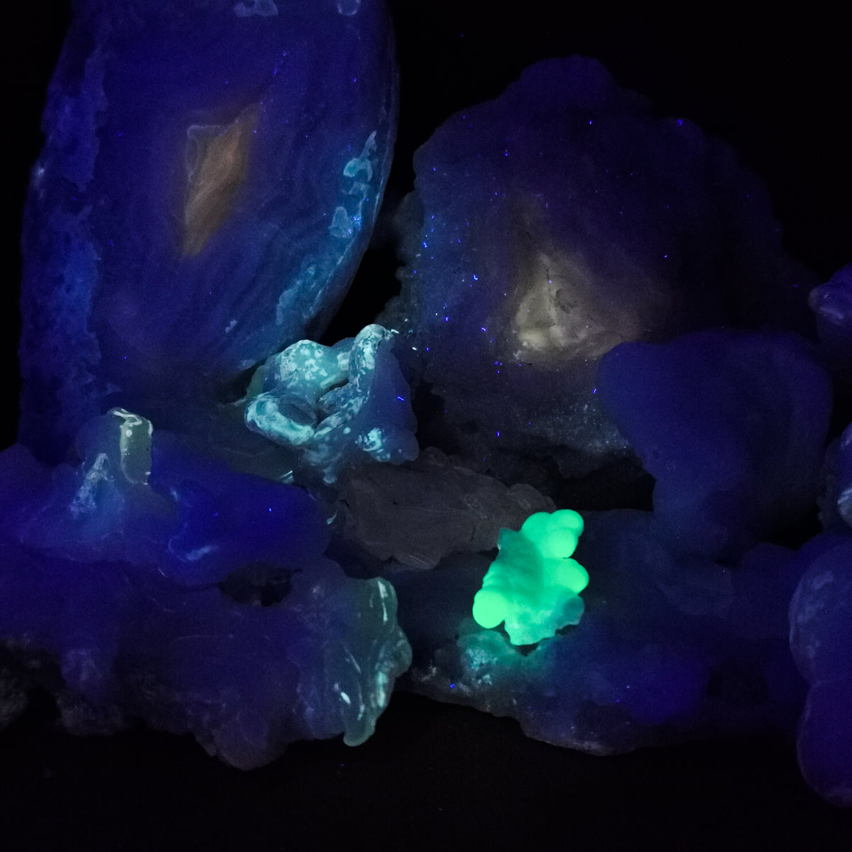 Chalcedony roses from New Mexico – close-up glowing under UV