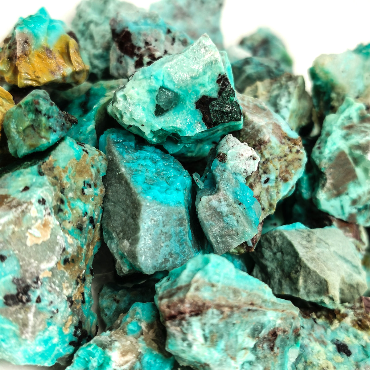 Chrysocolla rough.
