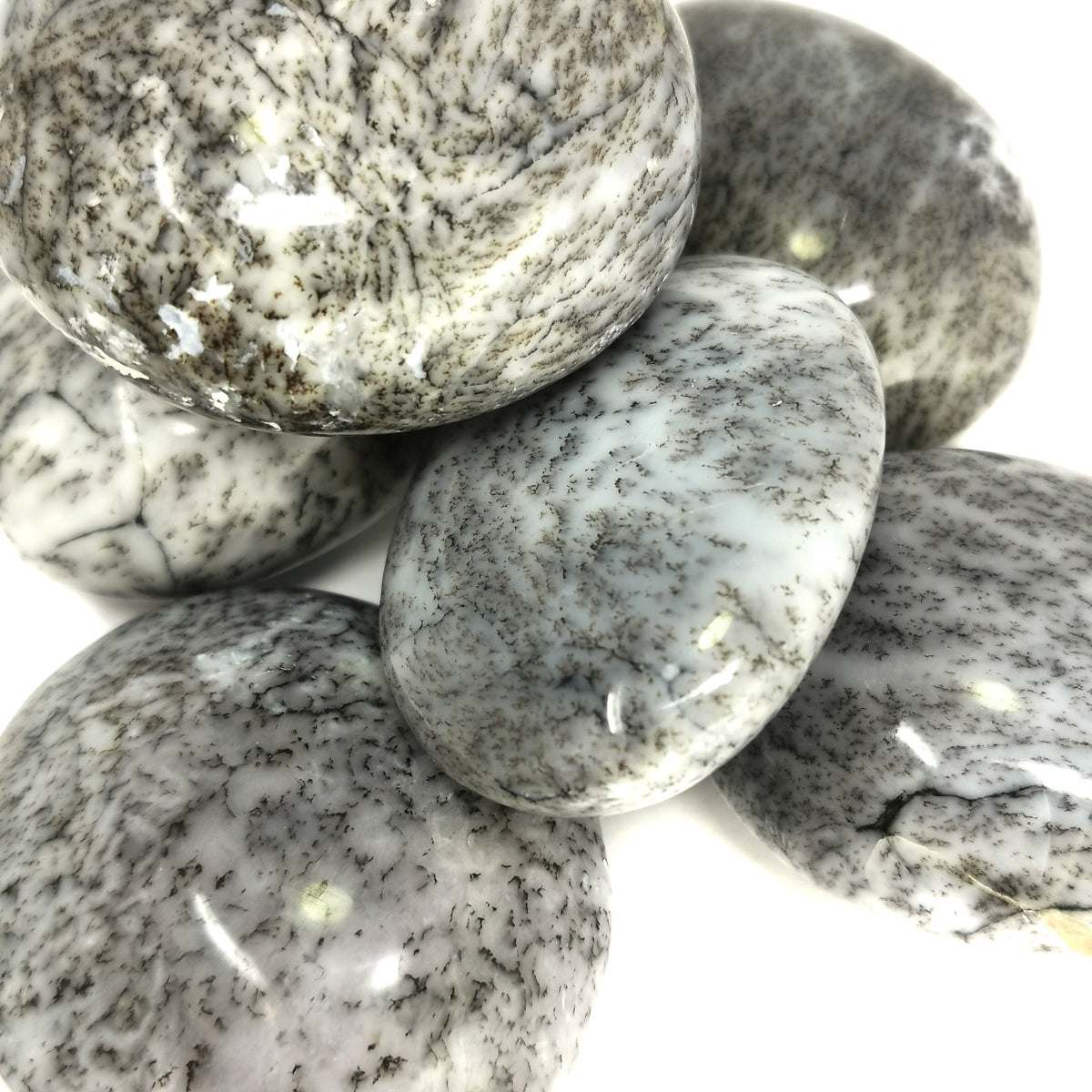 Dendritic Agate Palm Stone, a variety of chalcedony, from Madagascar.