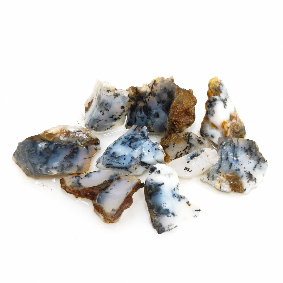 Dendritic Agate rough, a variety of chalcedony.