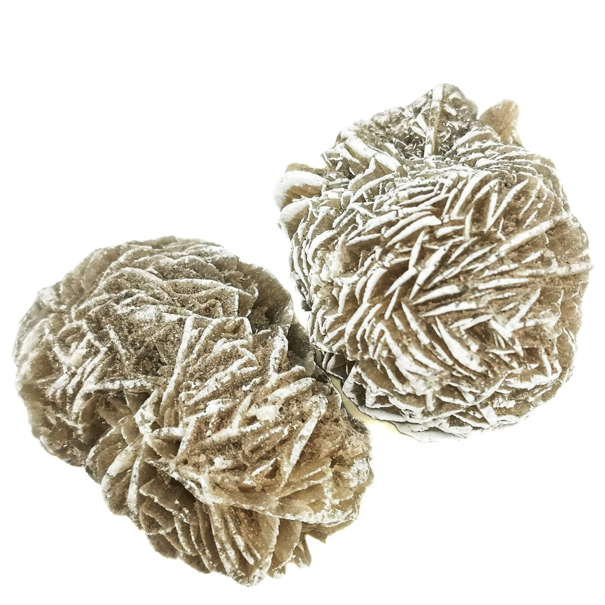 Desert Rose specimen from Samalayuca, Chihuahua, Mexico.