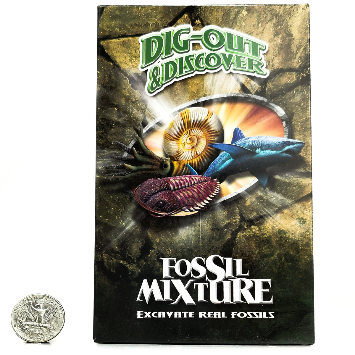 Dig Your Own Fossil kit.