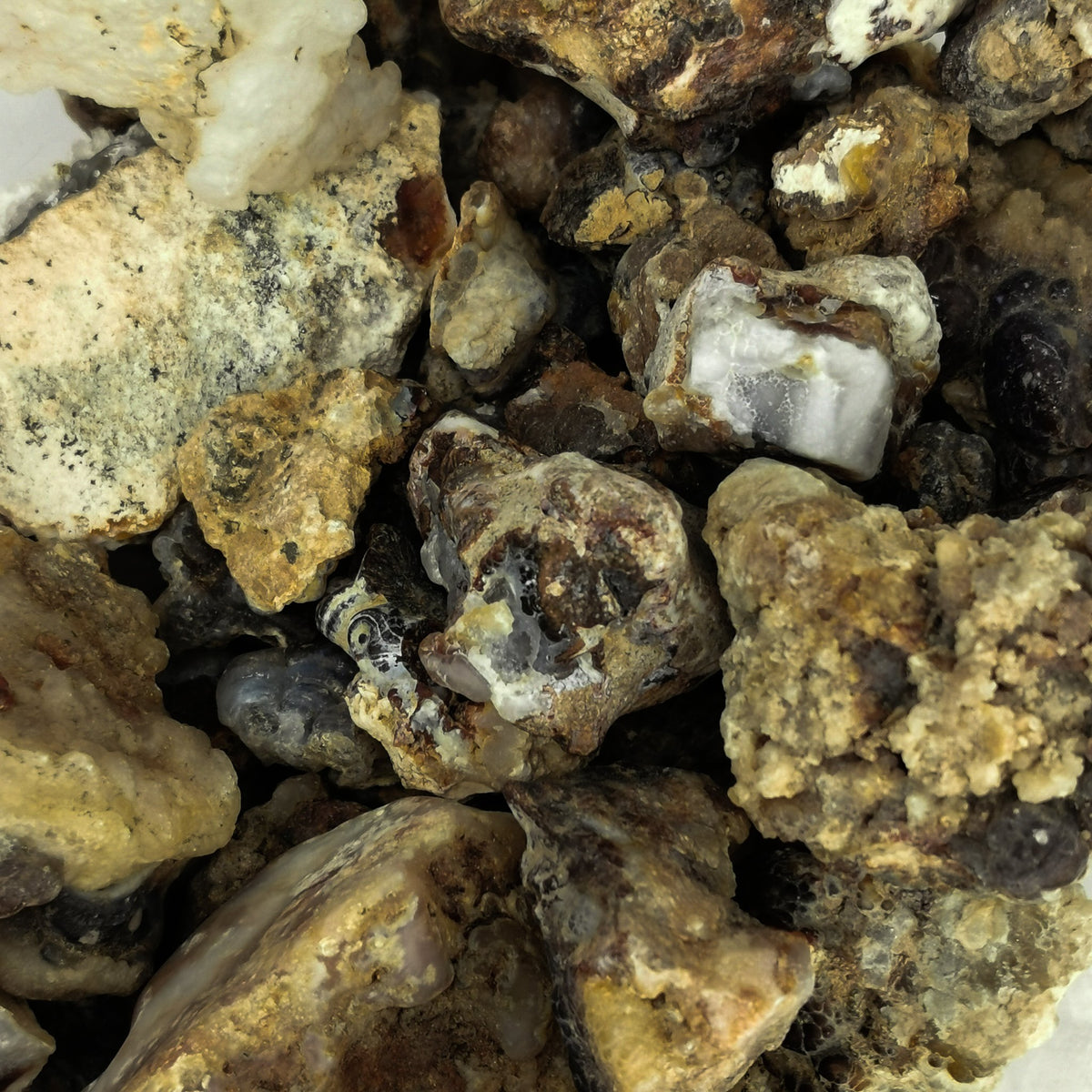 Fire Agate rough, a variety of chalcedony, from Northern Mexico.