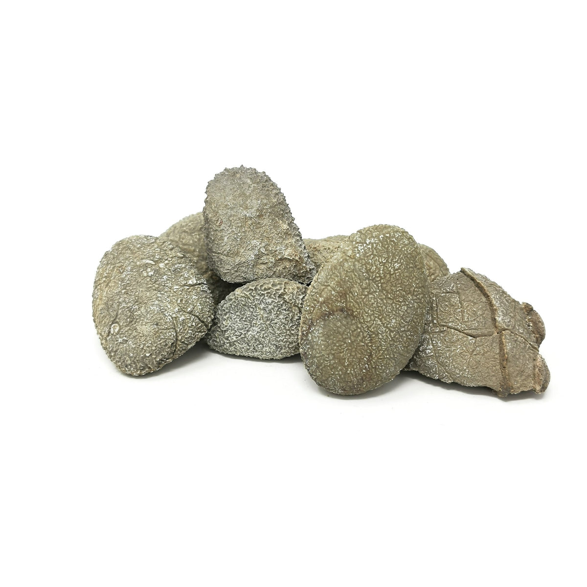 Etched limestone specimen from the USA – group of cobbles