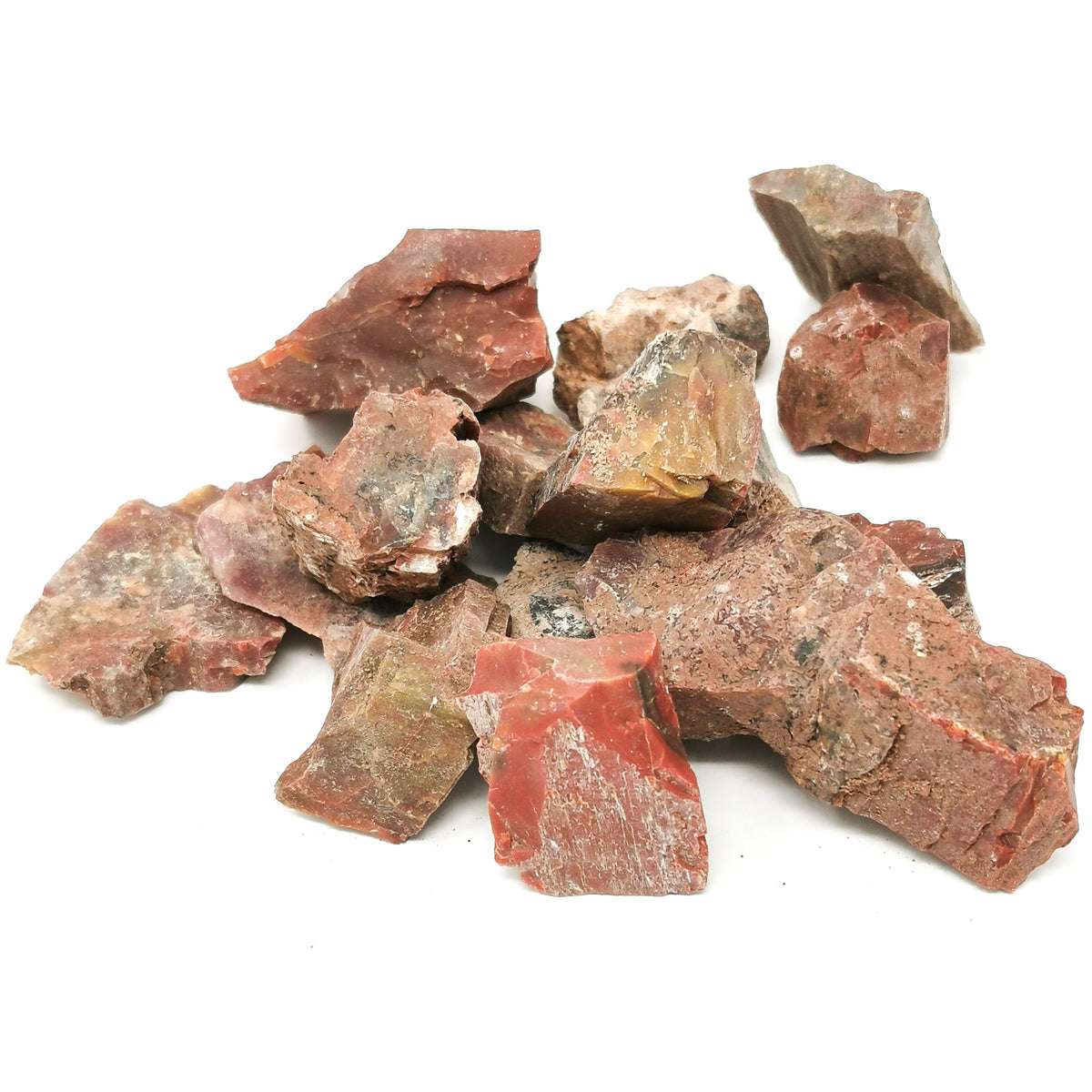 Rainbow Wood fossil from Holbrook, Arizona, USA, Chinle Formation, Late Triassic.