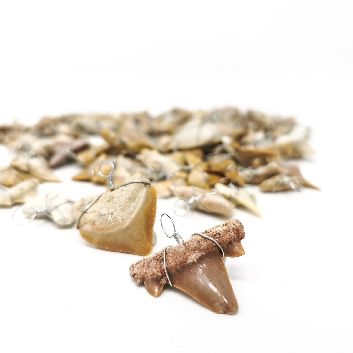 Fossil shark tooth pendant – two pendants in front of a pile