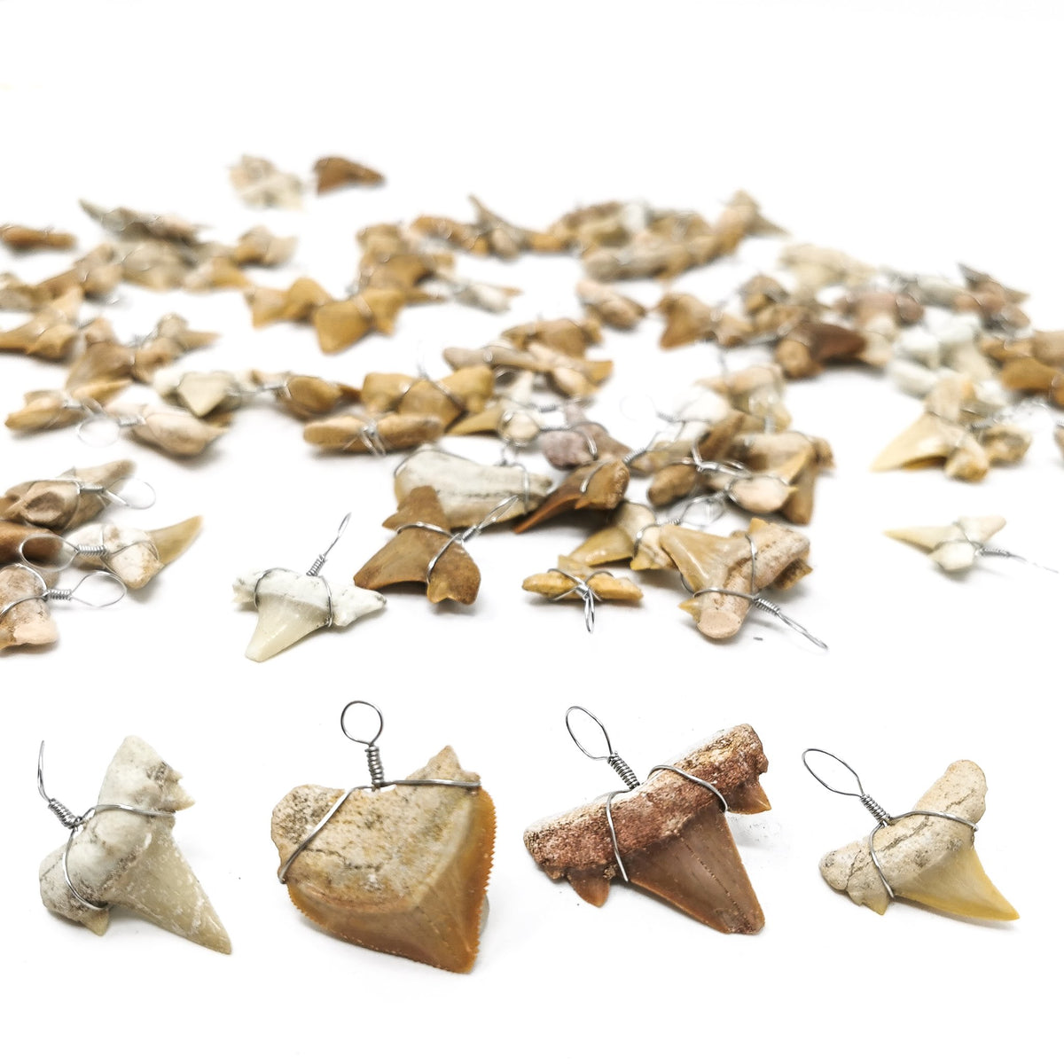 Fossil shark tooth pendant – row of four pendants