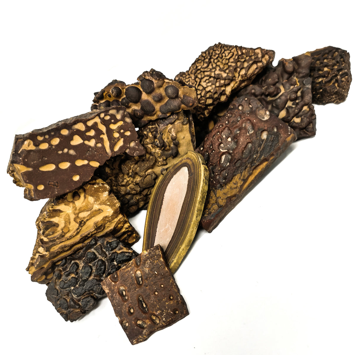 Stromatolite fossil from Morocco.