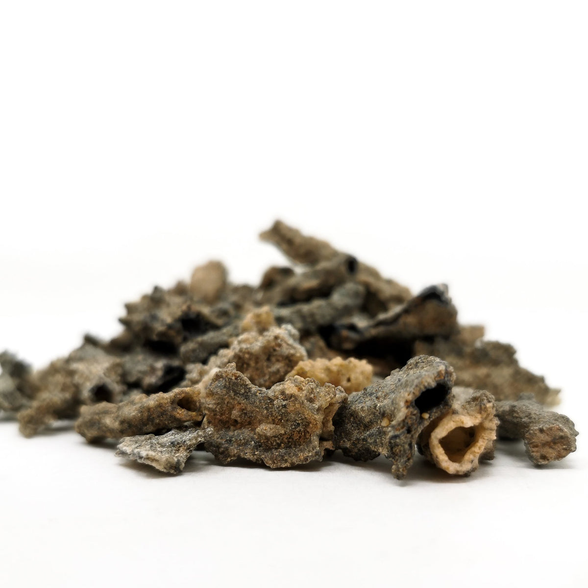 Mini Fulgurite (Lightning Strike) specimen from Sahara Desert, Southern Morocco.
