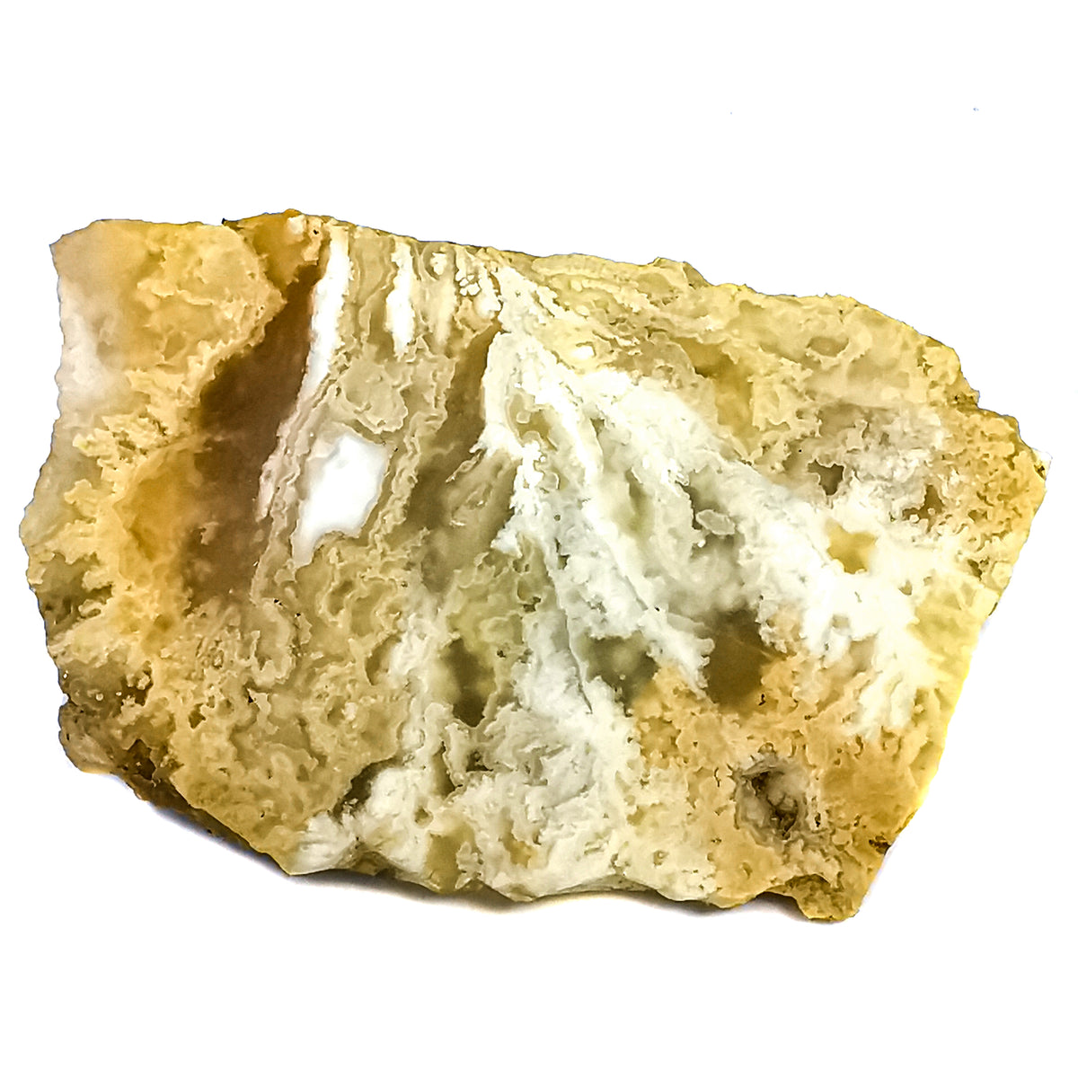Graveyard Point Plume Agate rough, a variety of chalcedony.