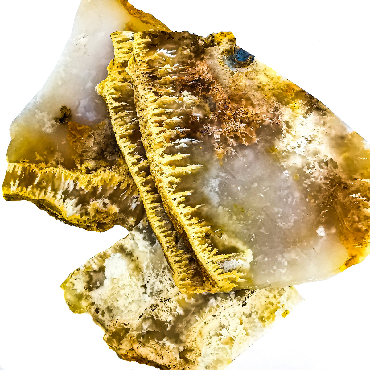 Graveyard Point Plume Agate rough, a variety of chalcedony.