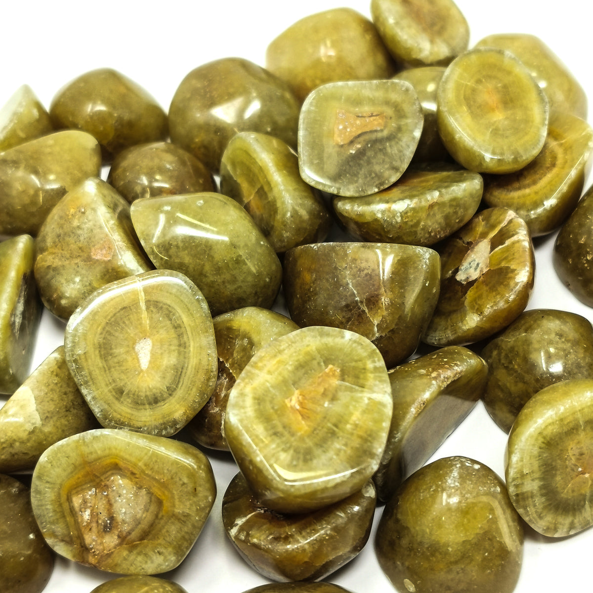 Green Dolomite tumble/ cut from Turkey.