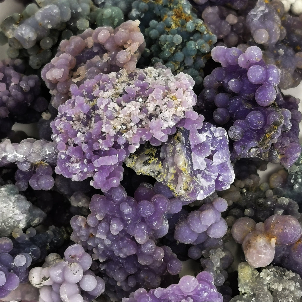 Grape Agate specimen, a variety of chalcedony.