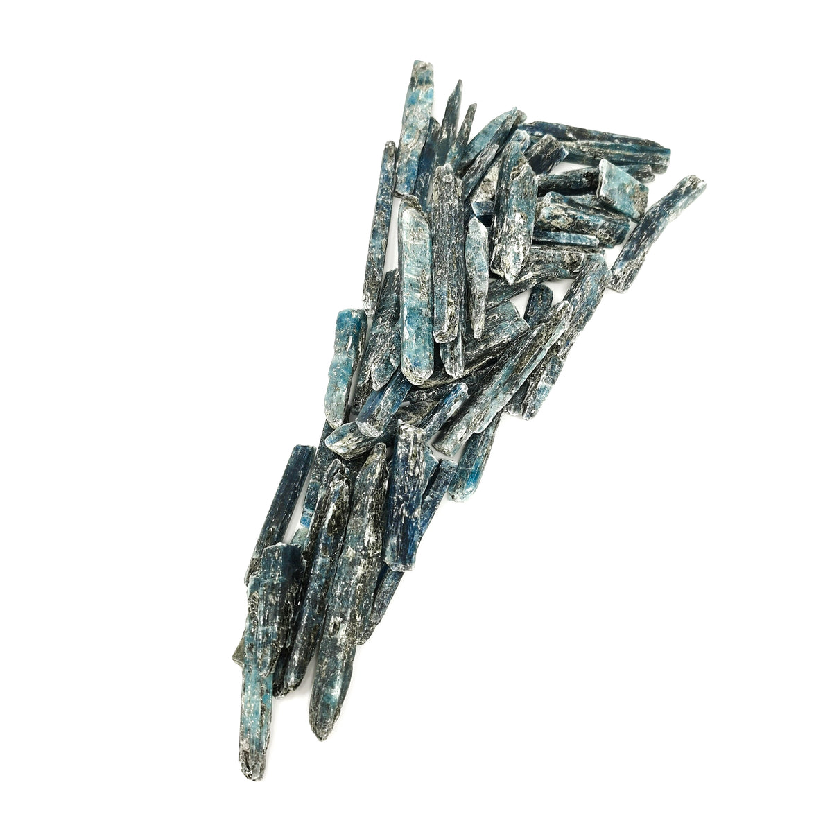 Gem Kyanite Blades specimen.