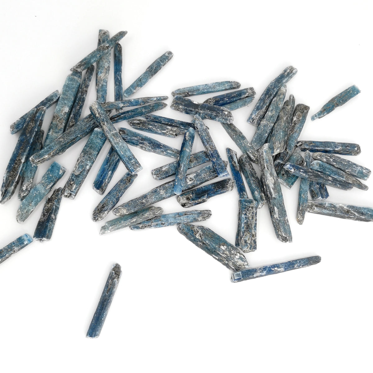 Gem Kyanite Blades specimen.