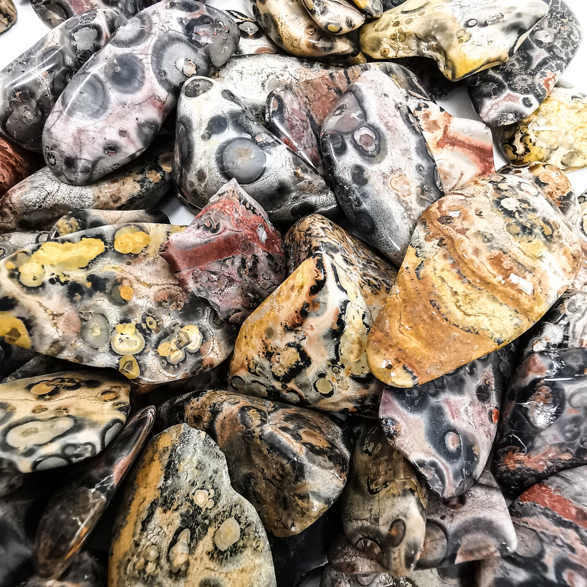 Leopardskin Jasper tumble.