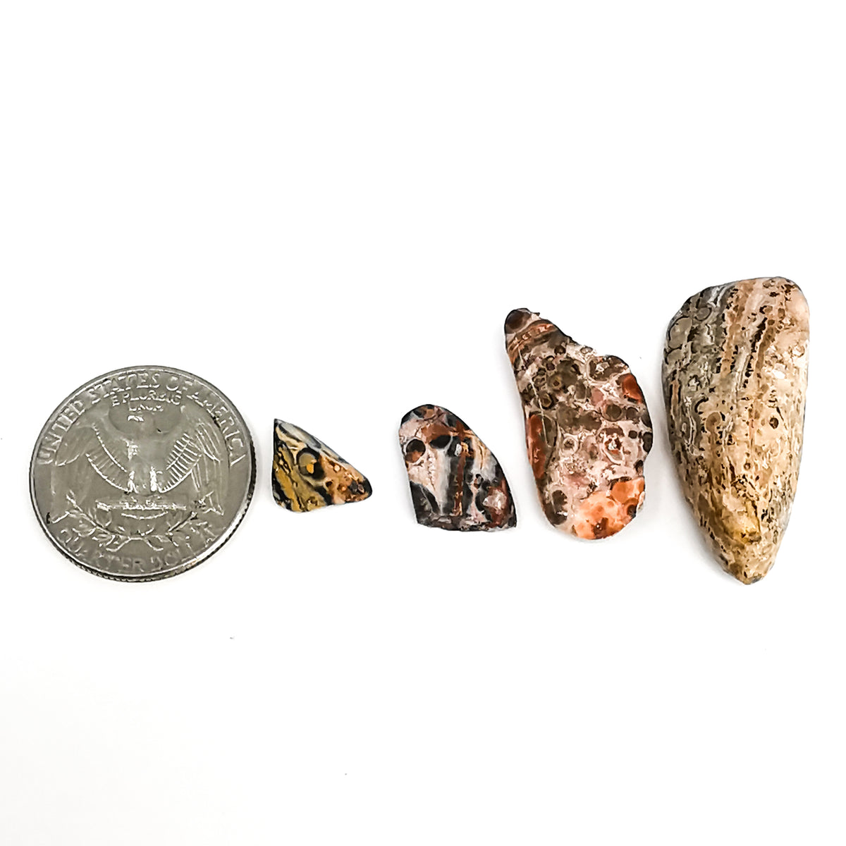 Leopardskin Jasper tumble.