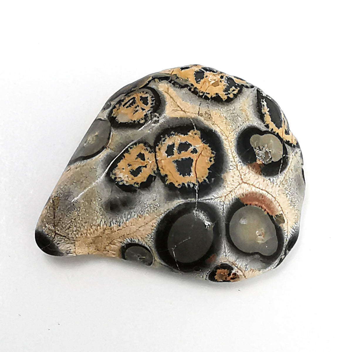 Leopardskin Jasper tumble.