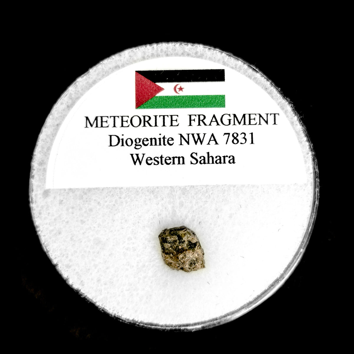 Diogenite NWA 7831 Meteorite fragment in capsule found near Chouichiyat, Saguia el Hamra, Western Sahara (2013).