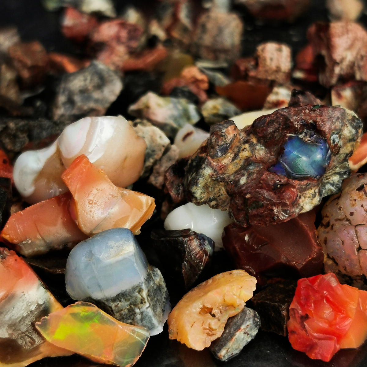 Mexican Fire Opal Jars - Raw